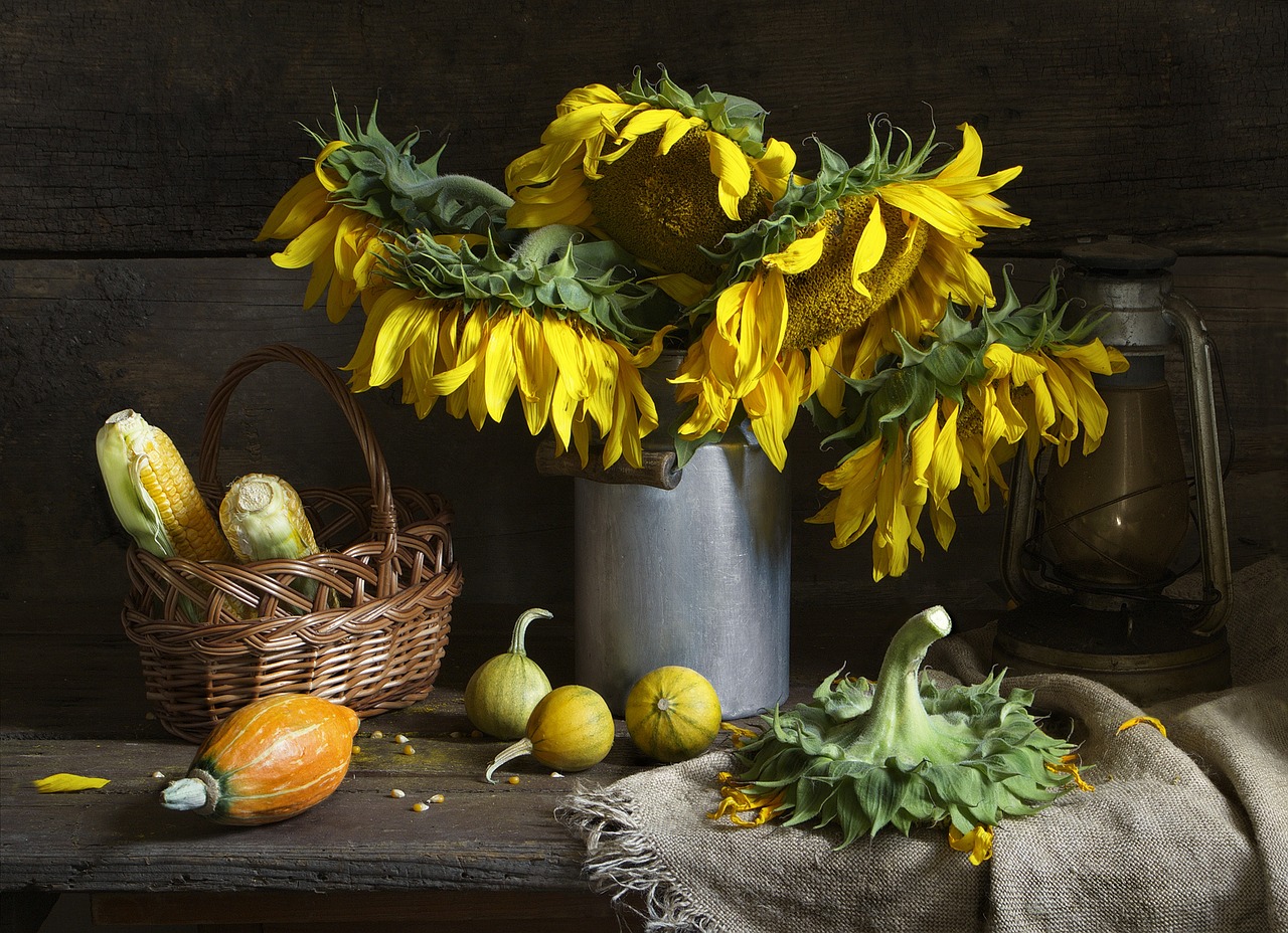 still-life-851297_1280